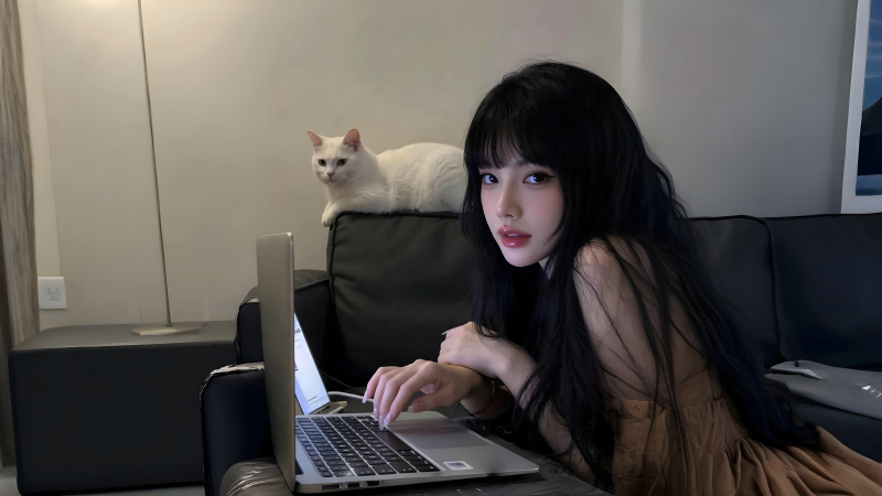 居家氛围感黑发美女与白猫电脑壁纸-美映阁